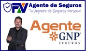 FV Agente de Seguros