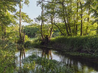 River Wissey, Bodney Hall Farm