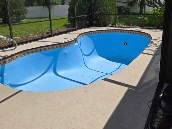 Empty blue swimming pool in backyard.