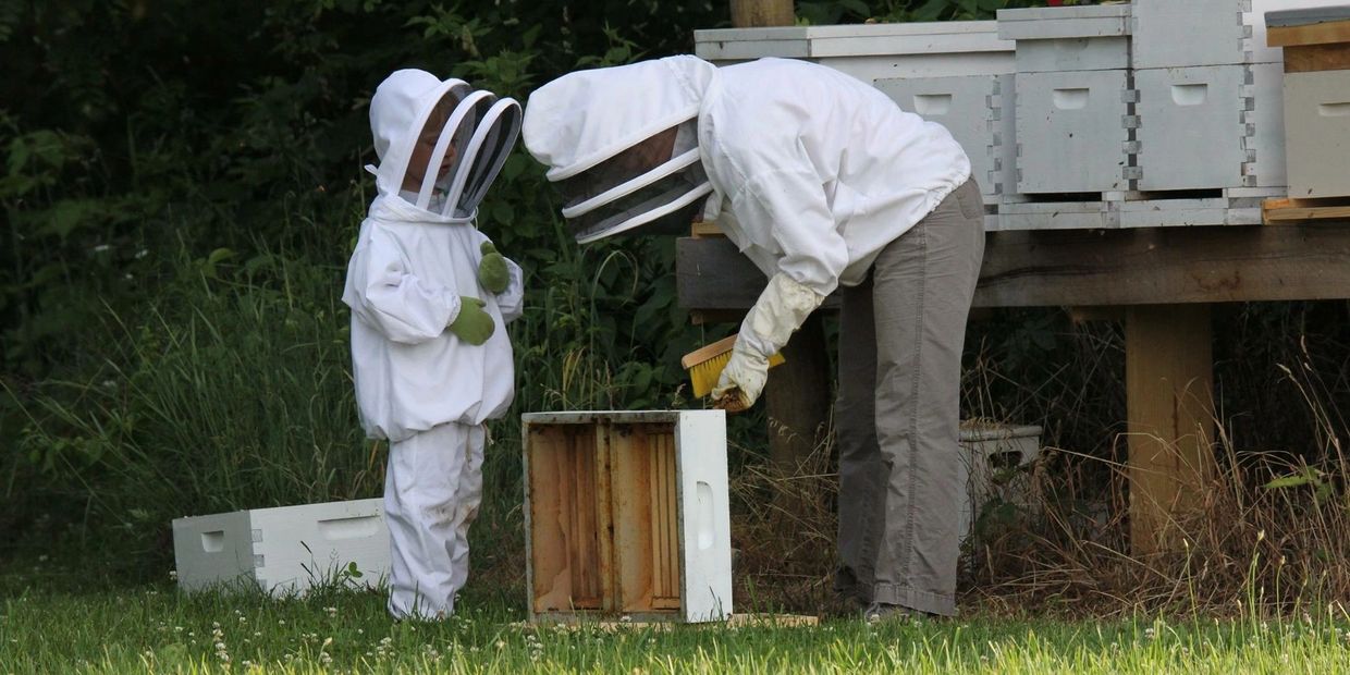 We have over 15,000 bees on our farm.