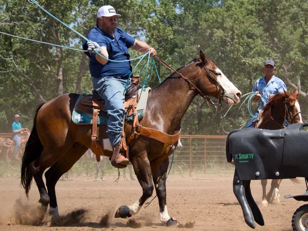 A cowboy on a horse roping a mechanical calf in a dusty rodeo arena.