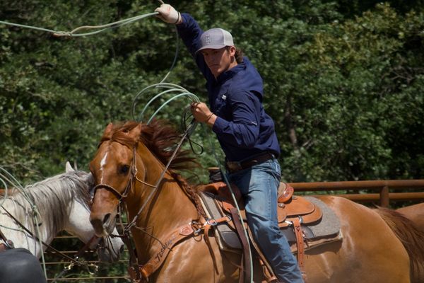 A cowboy on horseback swinging a lasso in an outdoor setting.