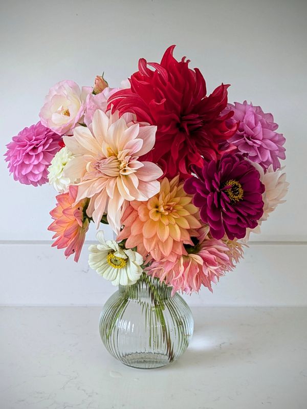 A vibrant bouquet of assorted flowers in a clear glass vase.
