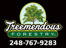 Treemendous Forestry LLC