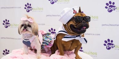 Susan Penrod PR: PetSuites of America Grand Opening French Bulldog Shih tzu dogs step-and-repeat