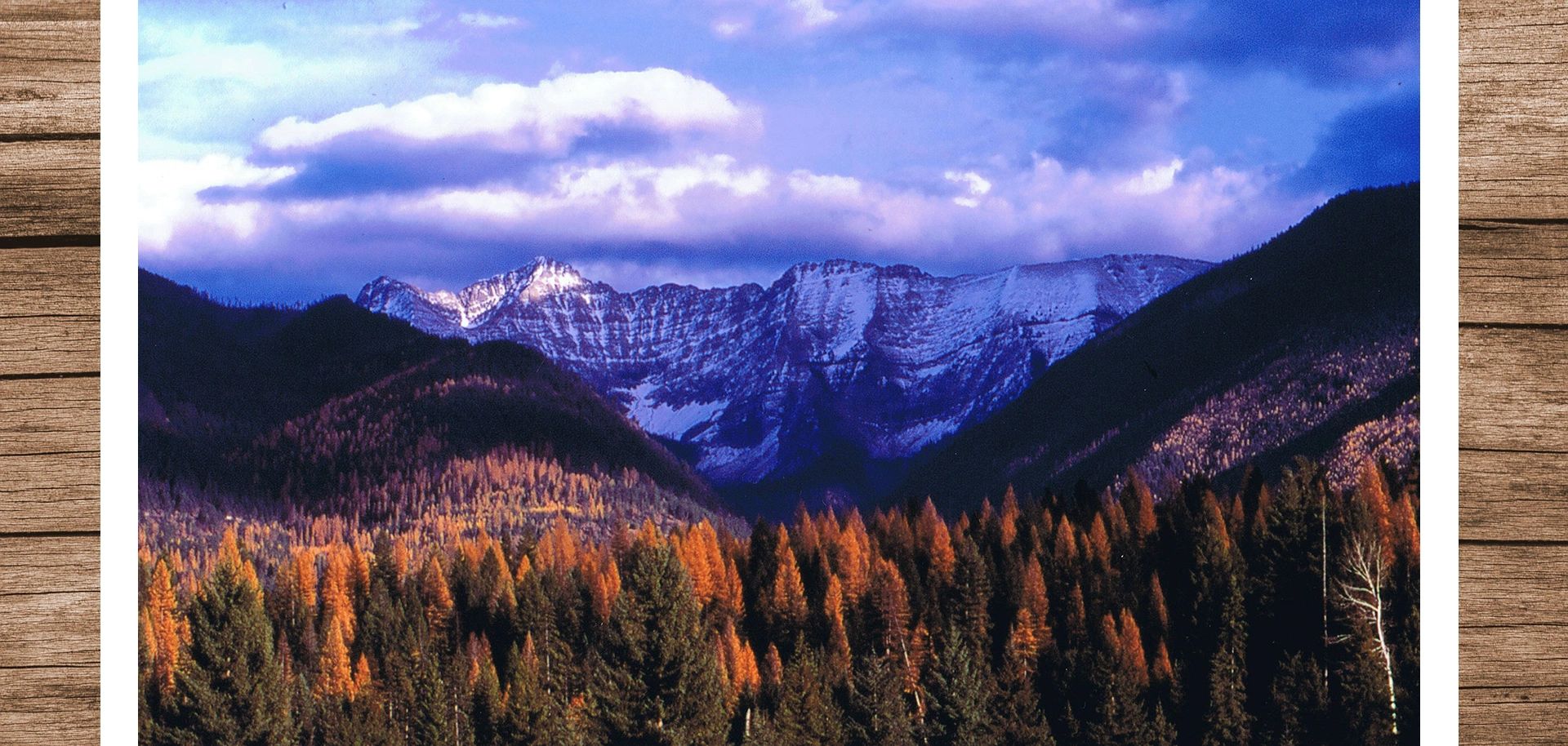 Image of Swan Peak, Swan Valley, Montana. Snow capped mountain view with larch trees in foreground. 