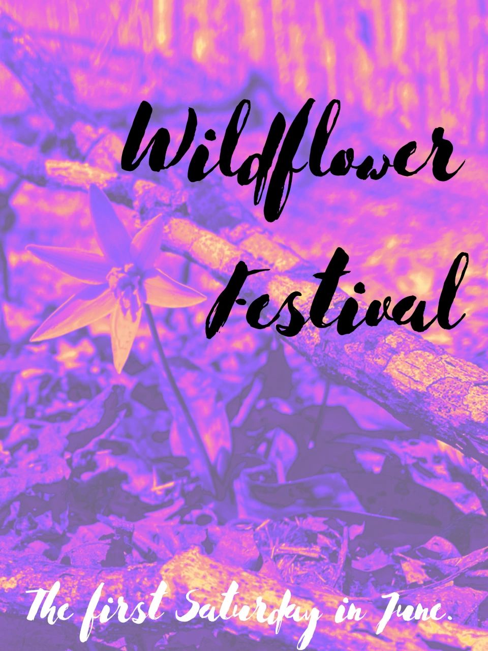 Wildflower Festival