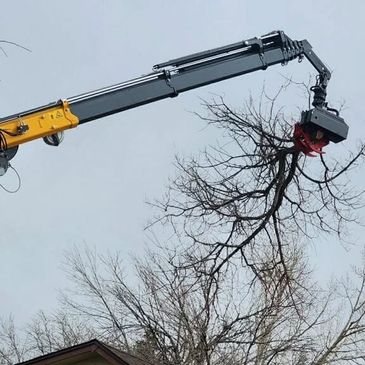 Crane lifting a large tree branch.