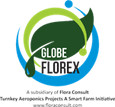 Globe Florex