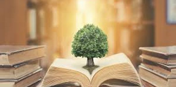 A small tree growing from an open book, symbolizing knowledge and growth.