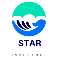 Star Insurance Group