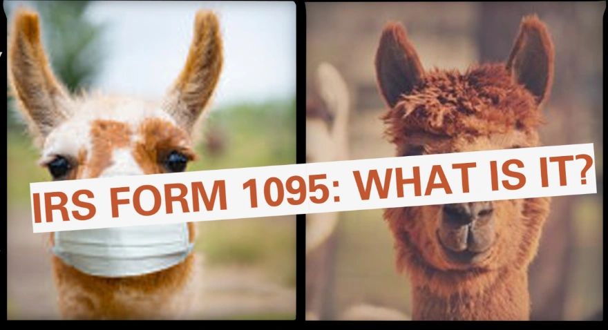 Decoding IRS Form 1095: Guide to Health Coverage Reporting
