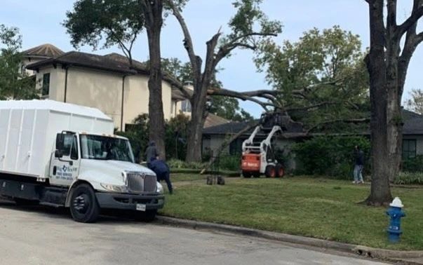 Big Tex Tree Service