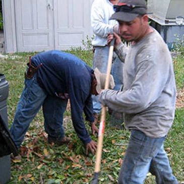 Call for the best Tree trimming in Katy Texas. Tree Trimming Katy Texas.
 Tree Trimming near me. Tree Pruning. Trim Trees. Tree Trimmer. Best Tree Trimming near me