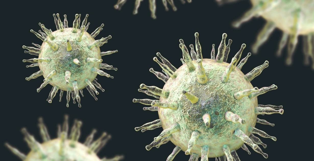 Trigger Insm Photo Scientists Discover New Evidence a Common Virus Helps Trigger MS