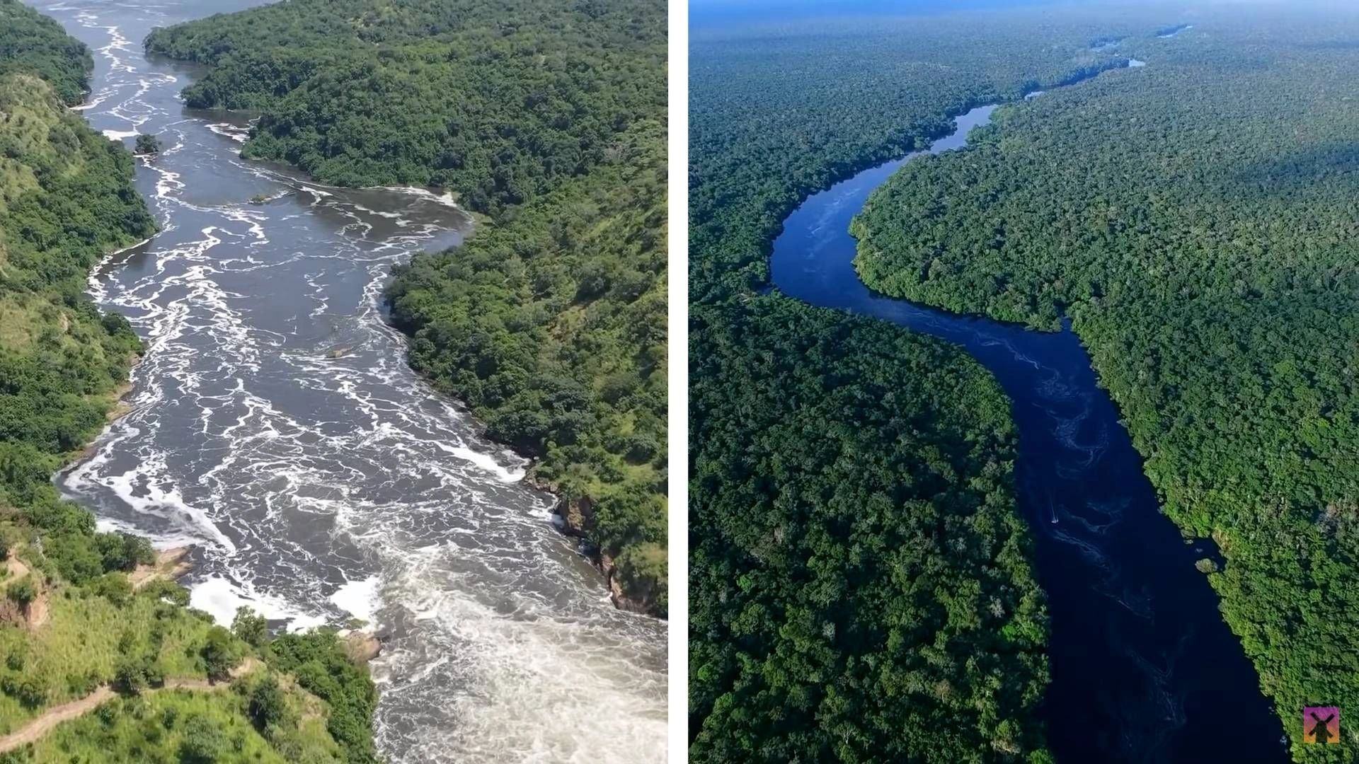 Nile vs. Amazon Which River Is More Dangerous?