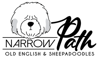 Narrow Path Puppies - Sheepadoodle Puppies, Hypoallergenic
