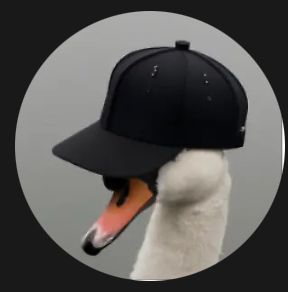Digital swan store 