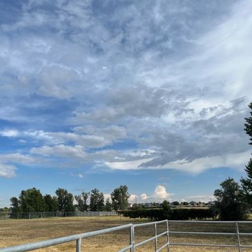 Expansive cloudy sky over a fenced dry field with trees.