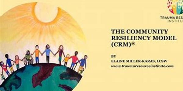 Community resilience model cover with diverse people holding hands.