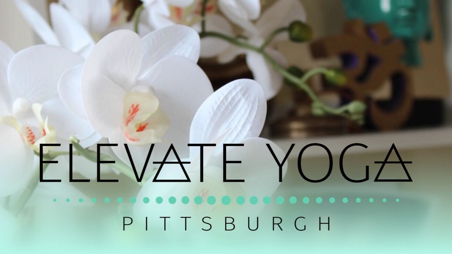 Elevate Yoga Pittsburgh formerly Movement Studio Pittsburgh