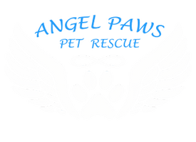 angel PAWS PET RESCUE