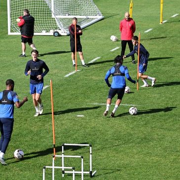 Soccer players training with coaches on a sunny field.