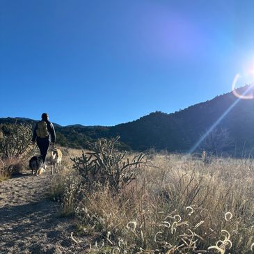 Hiking with dogs in Sandia Mountains, New Mexico
