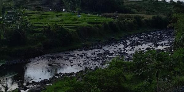 River and rice field views