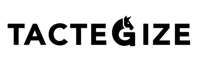 tactegize.com