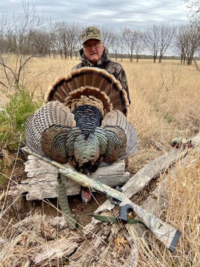 Rio Grande Turkey Hunts