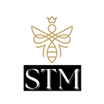 STM Pro Artistry