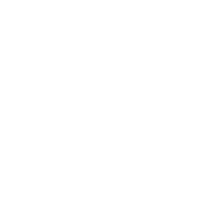 Lisa Leong