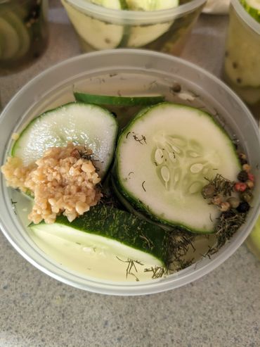 Homemade refrigerator dill pickles