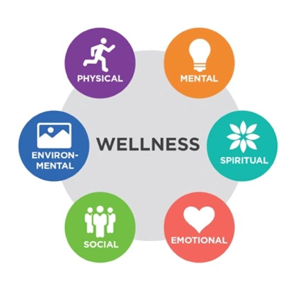 Wellness Niuki shema