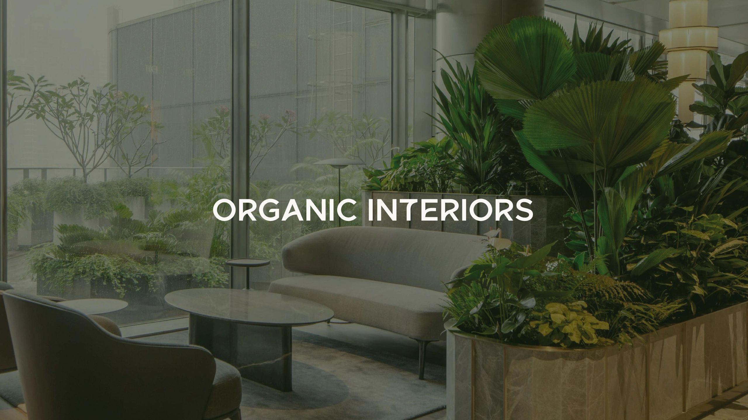 Organic Interiors