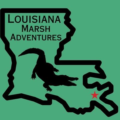 Louisiana Marsh Adventures - Alligator Hunt, Alligator Hunting Guide