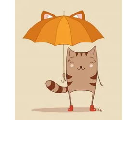 Raining Cats Rescue