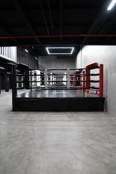 professional boxing | boxing gym abu dhabi