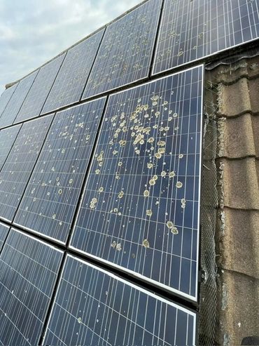Solar panels on a roof covered with bird droppings.