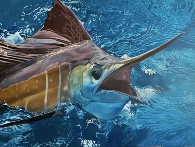 sailfish painted in oil