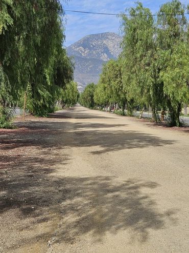 Beautiful Euclid Ave