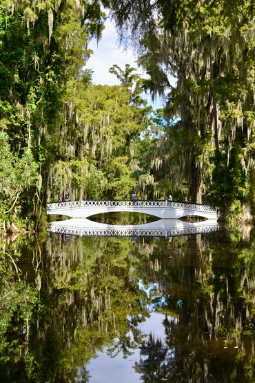 marsh bridge