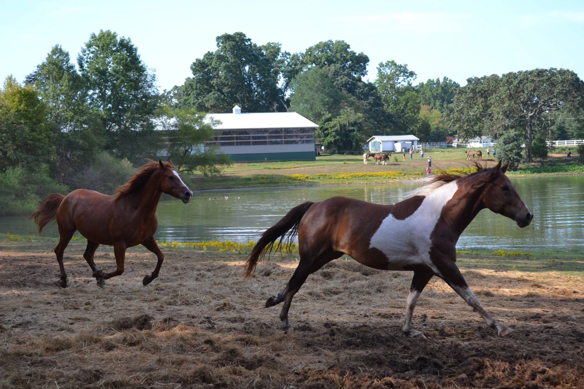 Horse Protection Society of North Carolina Inc.