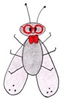 Francis the Fly