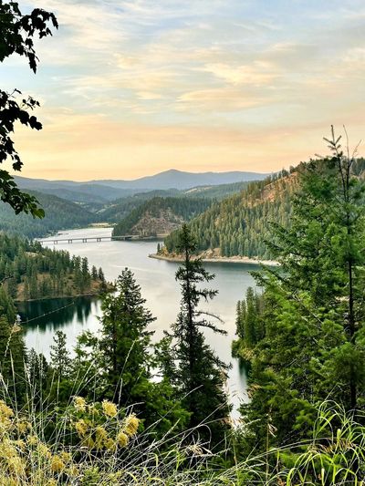 Coeur d'Alene, ID lake 
© 2025 ShannonElaine John. All Rights Reserved