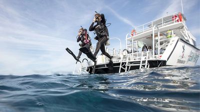 Scuba certification at home, Online scuba diving lessons, eLearning scuba diving courses, Beginner scuba dive training online, Scuba diving theory online, Online diving education programs, Dive certification eLearning courses, Scuba dive courses from home, Diving lessons online at your pace, Online scuba diving training