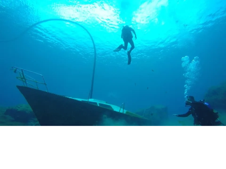 Learn to Scuba Dive Scuba Lessons for Beginners S.E.A. Divers