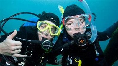 discover local diving, dive springs, dive jetties, dive buddy guided dive