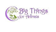 C Big Things for Animals